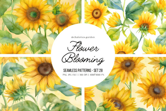 Exploring Sunflowers Blooming Patterns Set 28: A Unique Resource for Creative Projects