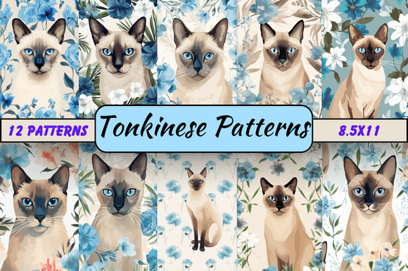 Tonkinese Patterns: A Creative Resource for Craft Enthusiasts